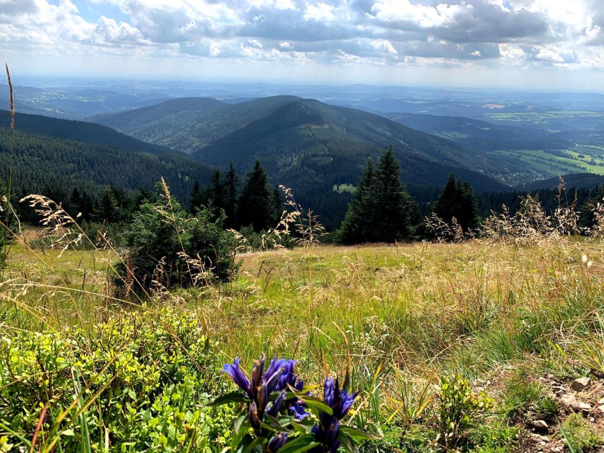 Apartmany Stare-Hory Krkonose Roudnice Bagian luar foto